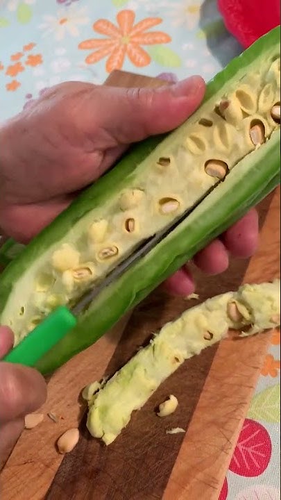 Don t Eat Bitter Melon Seeds A Bit TOXIC shorts YouTube don-t-eat-bitter-melon-seeds-a-bit-toxic-shorts-youtube