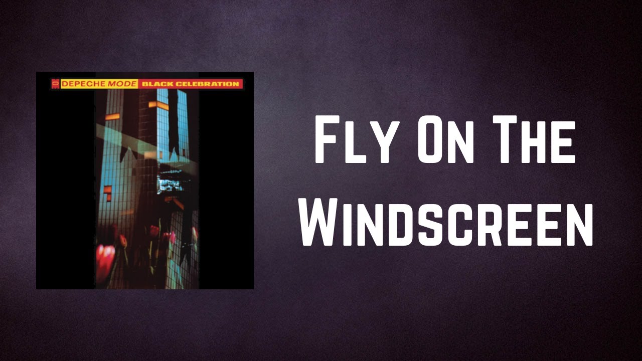 Depeche Mode - Fly On The Windscreen (Lyrics)