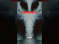This Is What The Victims Saw Before Creatures Abducted Them The Fourth Kind 2009