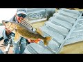 Lake Of The Woods Walleye - From Mold To Mouth (Lure Making)