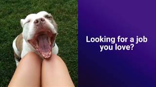 Want a Job You Love? Become a Pet Sitter!