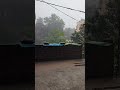 barish❤️#barish #barishstatus #mansoon #rain #rainsounds #song