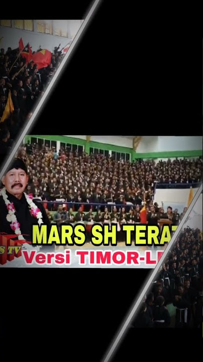 Story Wa SH Terate versi Timor-Leste #shorts