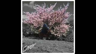 CHERRY BLO$$OM 桜 [Audio]