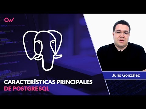 CARACTERÍSTICAS PRINCIPALES DE