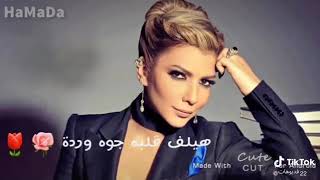 هيقول كمان وعود