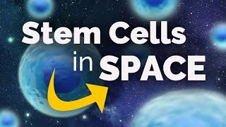 Stem Cells and Space - Sanford Stem Cell Symposium 2023