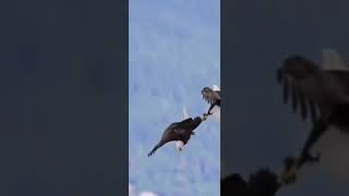 Bizimkisi Bir Aşk Hikayesi