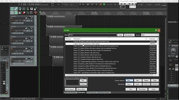 SWS startup action in Reaper