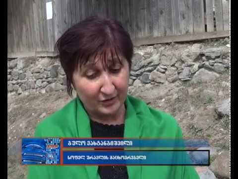 გულო ვახტანგიშვილი:  ,,სოფლის დახმარების პროგრამაში ჩვენი უბანი ვერასდროს მოხვდა“