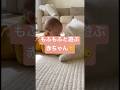 もふもふと遊ぶ赤ちゃん👶 Baby playing with fluffy😂