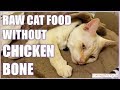 How to make Raw Cat Food WITHOUT Bones! - Chicken Bone Substitutions / Cat Lady Fitness