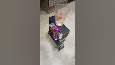 Two wheel Self balancing robot