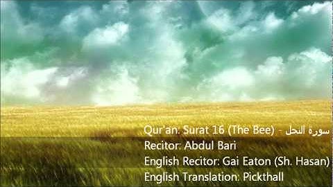 Quran Surah 16 An-Nahl (The Bee)  سورة النحل English Audio Translation