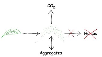 How is carbon stored in the soil?