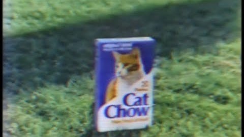 CASTLEBEAT - Rope (Music Video)