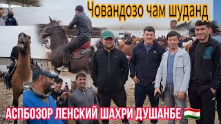 Бахтовар, Шаҳбоз, Алимардон, Хуршед ҳама чам шуданд дар Аспбозор Ленский 🇹🇯