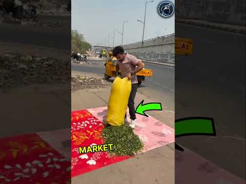 This cow eat his vegetables | But he actually helped all of them 😱🫡 #respect #shorts #ytshorts