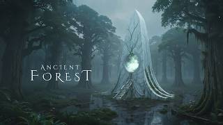 ANCIENT FOREST | Ambient Fantasy Relaxing Music - Ethereal Meditative Soundscape for Relaxation