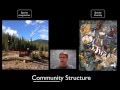 Ecological Interactions and Community Dynamics in Biology
