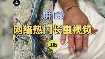 4K | 网络热门长虫视频（106）毒蛇被打死后邻居好奇摸了一下！直接被咬进医院抢救？【世界记忆大师龙雅】