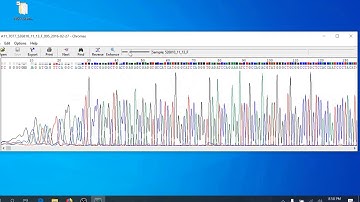 Sequence Analysis Protocol - Assess Sequence Quality - Chromas PC