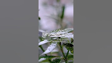 سورة قريش بصوت #ماهرالمعيقلي #قرآن