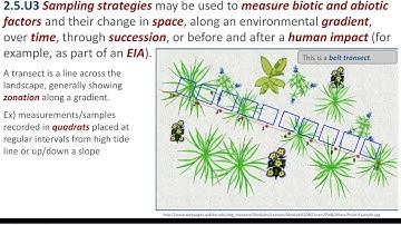Topic 2.5 Investigating Ecosystems