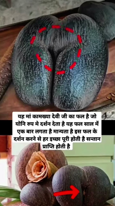 😱मां कामख्या देवी अनदेखा नहीं करे😰 #matarani​ #durgamaa​ #durgapuja​