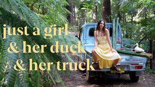 Download Lagu Building My Bamboo Camper Begins: Kei Truck in the Rainforest (Ep. 2) MP3