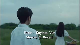 Tekir - Kaybım Var (Slowed & Reverb)