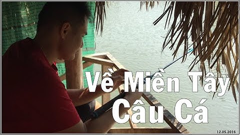 🎣 Đi Câu Cá 🌸 Về Miền Tây Câu Cá  ❤️Mỹ Hòa Hưng - An Giang ❤️