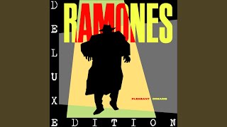 Video thumbnail of "Ramones - The KKK Took My Baby Away (2002 Remaster)"