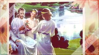 Video thumbnail of "LA BELLA HADASSA PISTA"