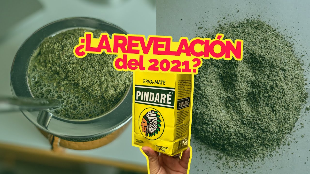 Probando yerba mate PINDARÉ