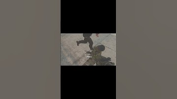 A small bug #modernwarfare2 #mw2 #funny