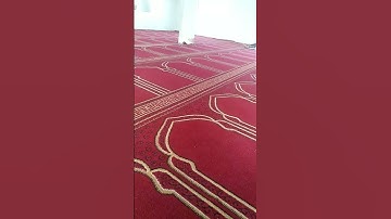 القارئ حاشد الذيب #السعوديه #اكسبلور #المصحف #لايك #في #الرحمن