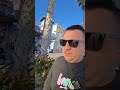 как цветёт пальма ?