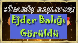 Ejder Balığı Siber Cümbüş 15052022Vol20Bölüm 12