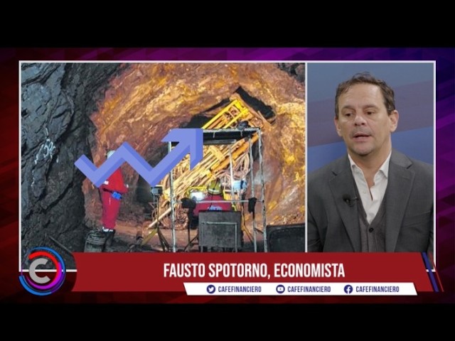 Entrevistamos al economista Fausto Spotorno
