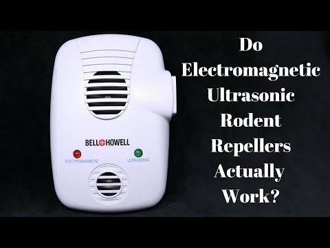 Testing Out An Electromagnetic - Ultrasonic Rodent Repeller. Mousetrap Monday