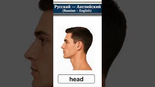 Learn Russian - 2