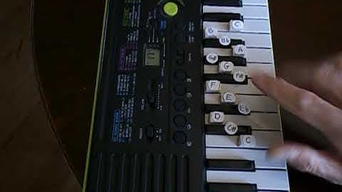 Chromatic Button keyboard layout for piano accordion players