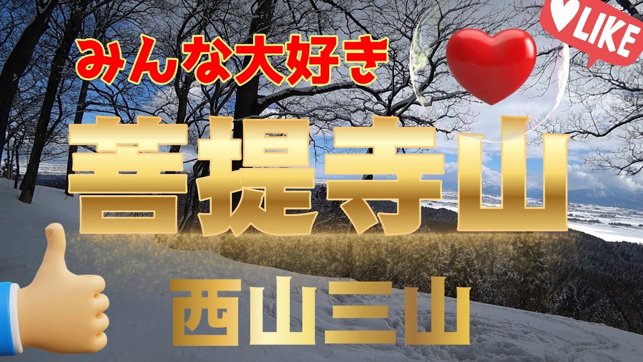 【新潟県】有名低山みんなが登れる大好き菩提寺山 2025. 3. 9