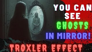 The Ghost in the Mirror: How THE TROXLER EFFECT Creates Illusions!