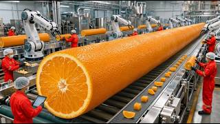 Inside the Orange Juice Factory | High-Tech Production Line & Full Manufacturing Process