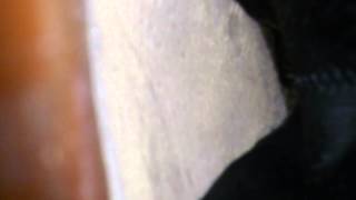 my wife inside inshoe long b