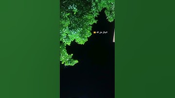 التوكل على الله🤲 #اكسبلور #تحفيز #كلام #دراسة #قرآن #اسلام_صبحي #اسلاميات #سورة #قران_كريم #الحمدلله