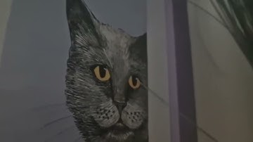 Fragility - It Flows Through (Official Music Video)