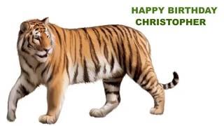 Christopher  Animals & Animales - Happy Birthday